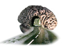 Religion, Science, Faith & Quantum Thought - 
The Journey Thus Far...
Click