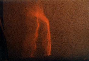 Image of the Virgin Mary in my garden
 or just a reflection?
